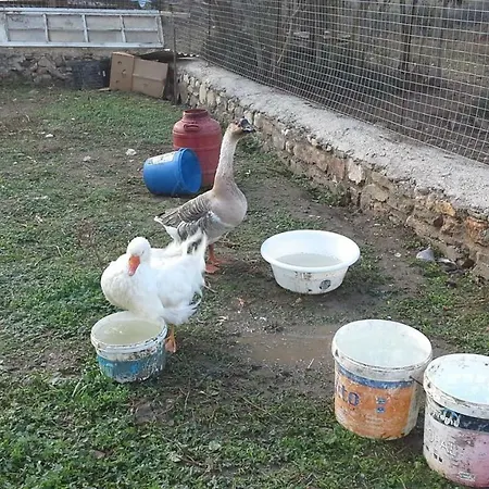 Prázdninový dům Xenios Zeus *